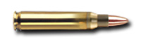 geco-223-rem-55gr-2