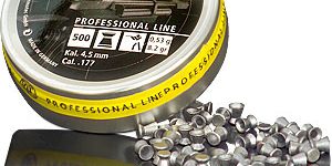 RWS Meisterkugeln Cal.177 (8.2gr/.53g)