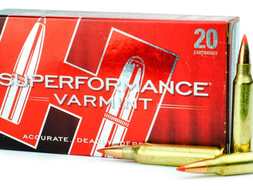 Hornady Superformance 223REM V-MAX 53gr
