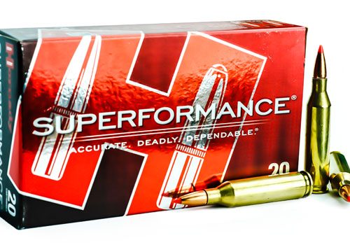 Hornady Superformance 243win Super Shock Tip 95gr
