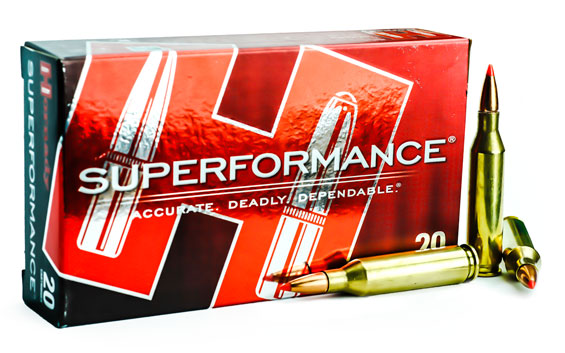 Hornady Superformance 243win Super Shock Tip 95gr