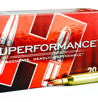 hornady-243-win-95gr-sst-1.jpg