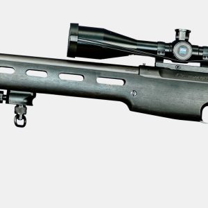 SIG SAUER SSG 3000 Wood Stock