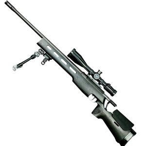 SIG SAUER SSG 3000 Wood Stock