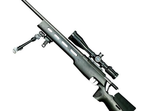 SIG SAUER SSG 3000 Wood Stock