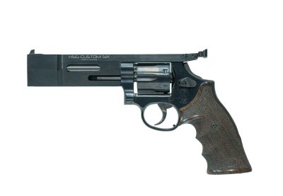 Smith & Wesson Model 10-11