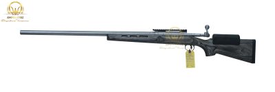 Savage model 12 308win