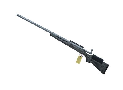 Savage model 12 308win