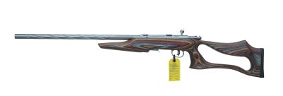 Savage model 93G wmr