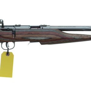 Savage model 93G wmr